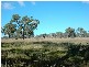 Botobolar NSW 2850