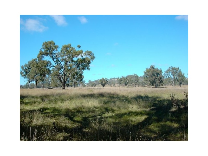 Botobolar NSW 2850