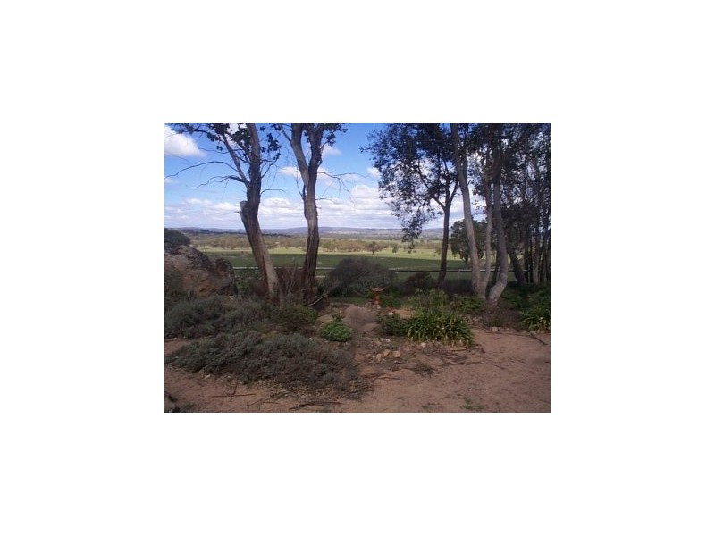 2018 Cassilis Road, Mudgee NSW 2850