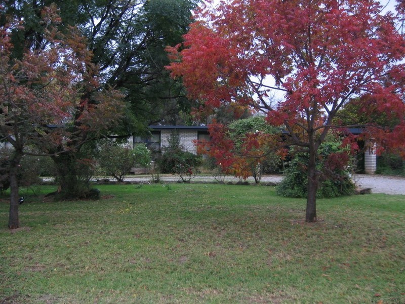 21 Madeira Road, Mudgee NSW 2850