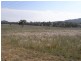 St Fillans NSW 2850
