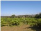 St Fillans NSW 2850