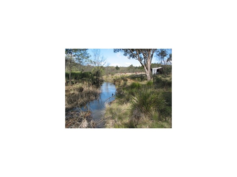 Bocoble NSW 2850