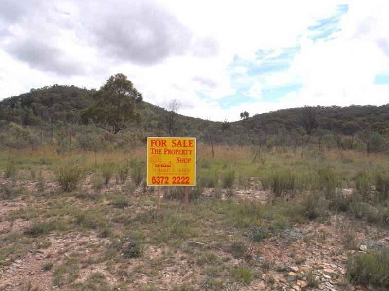Bocoble NSW 2850