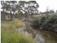 Bocoble NSW 2850