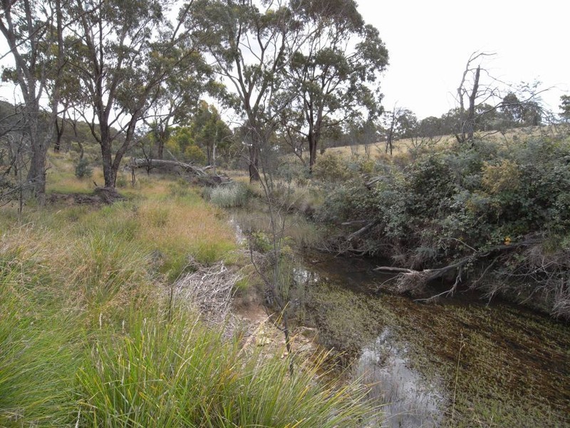 Bocoble NSW 2850