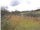Bocoble NSW 2850