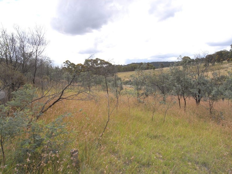 Bocoble NSW 2850