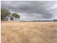 Gulgong NSW 2852