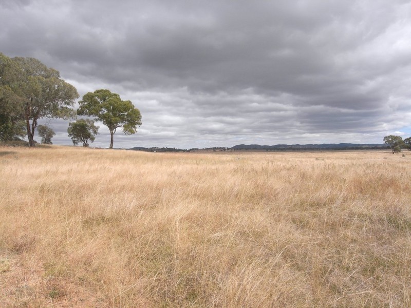 Gulgong NSW 2852