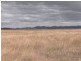 Gulgong NSW 2852
