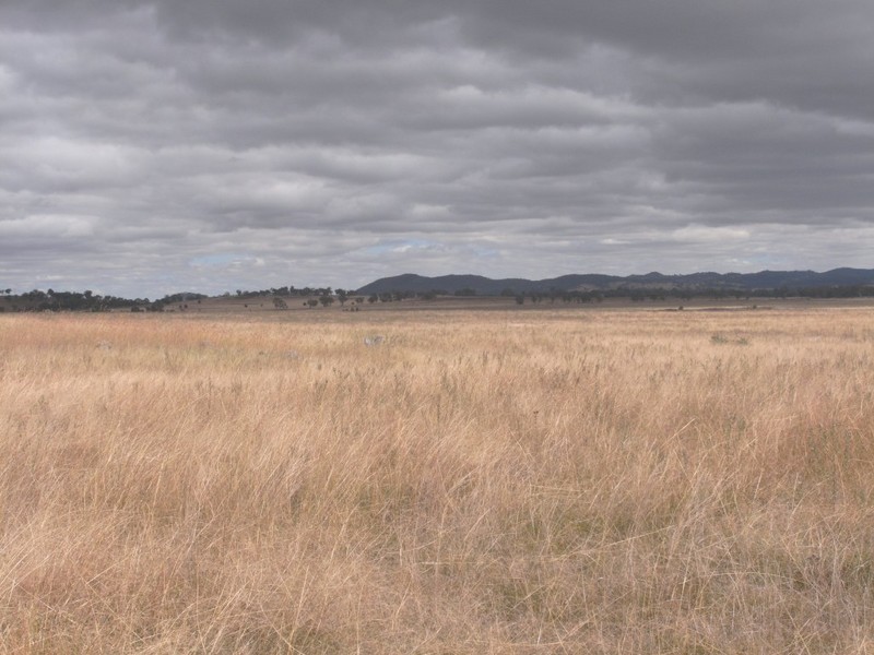 Gulgong NSW 2852