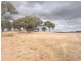 Gulgong NSW 2852