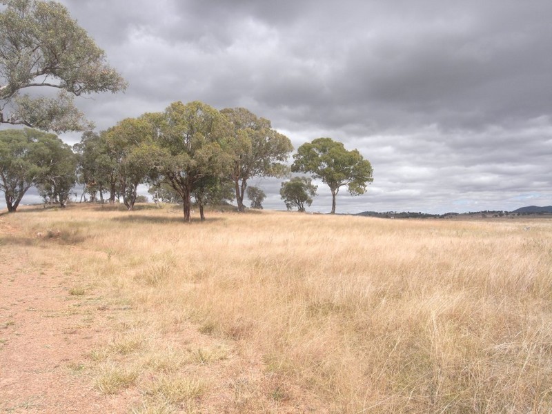 Gulgong NSW 2852