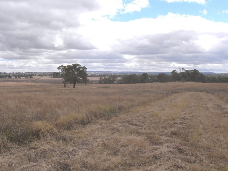 Gulgong NSW 2852