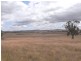 Gulgong NSW 2852