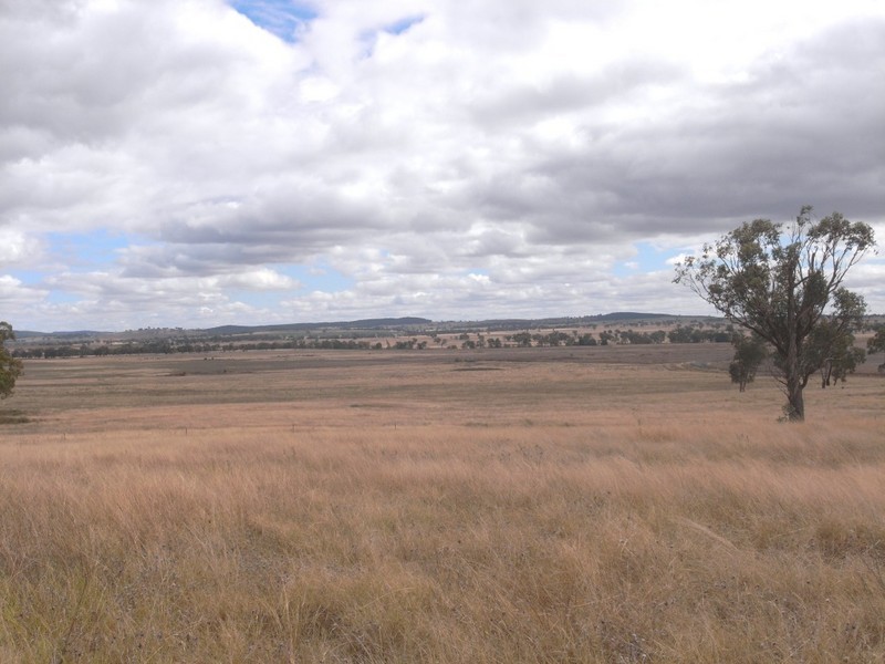 Gulgong NSW 2852