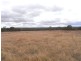 Gulgong NSW 2852