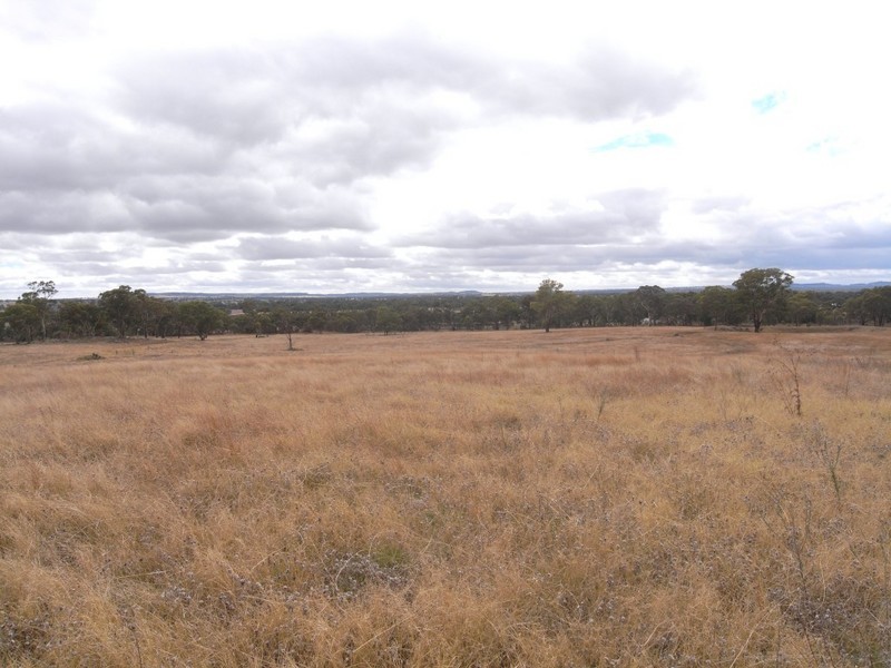 Gulgong NSW 2852