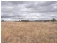 Gulgong NSW 2852