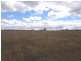 Gulgong NSW 2852