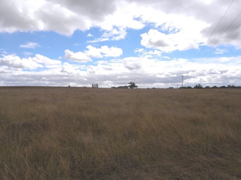 Gulgong NSW 2852