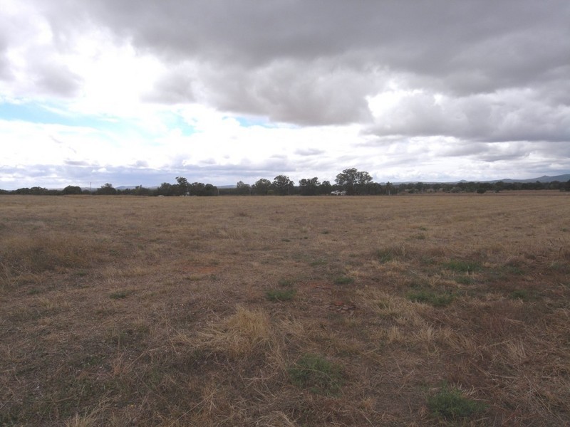 Gulgong NSW 2852