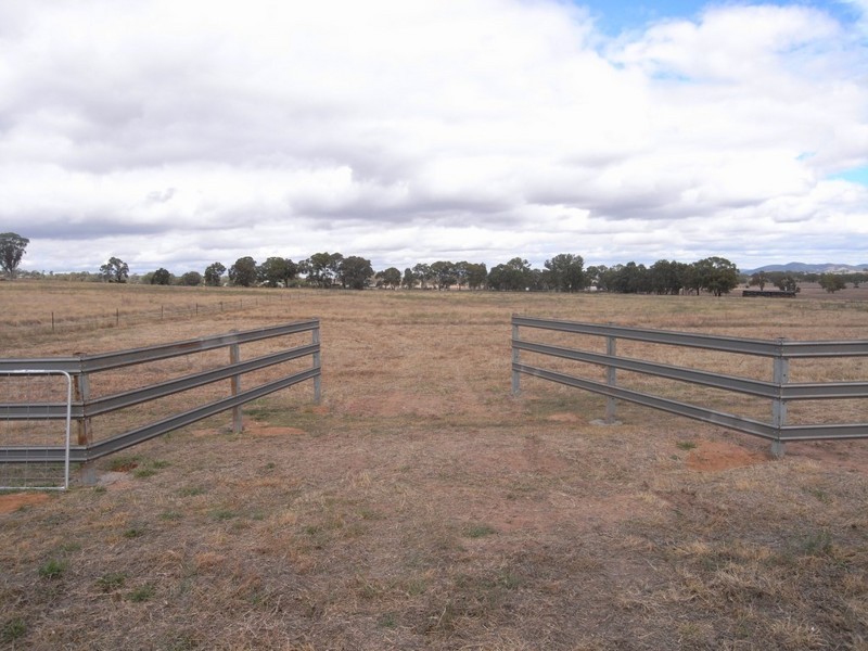 Gulgong NSW 2852