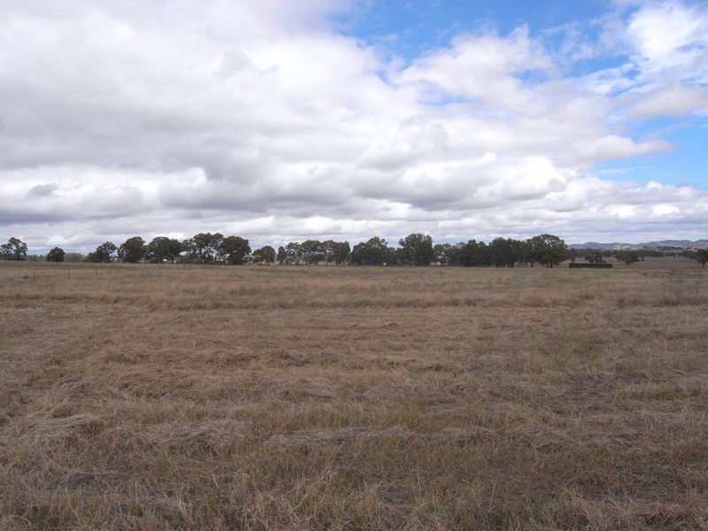Gulgong NSW 2852