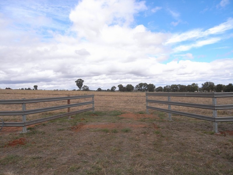 Gulgong NSW 2852