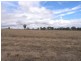 Gulgong NSW 2852