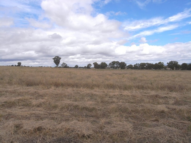 Gulgong NSW 2852