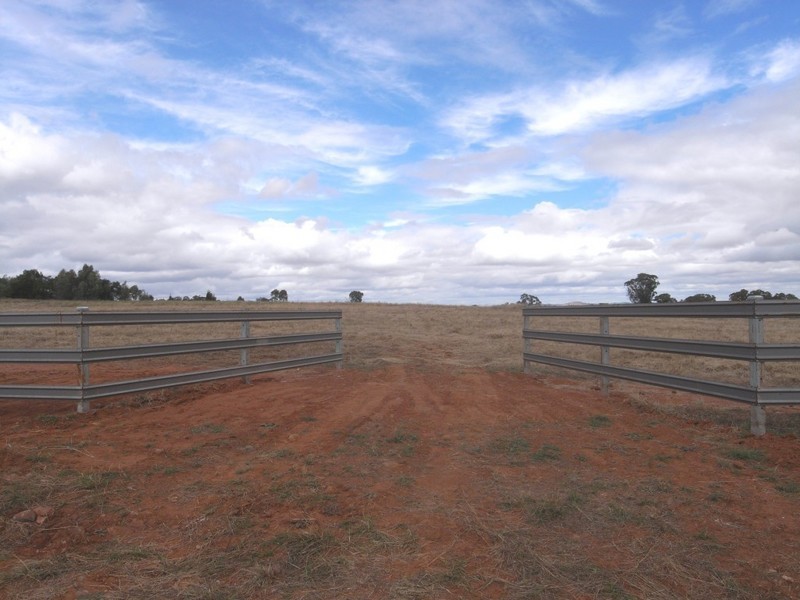 Gulgong NSW 2852