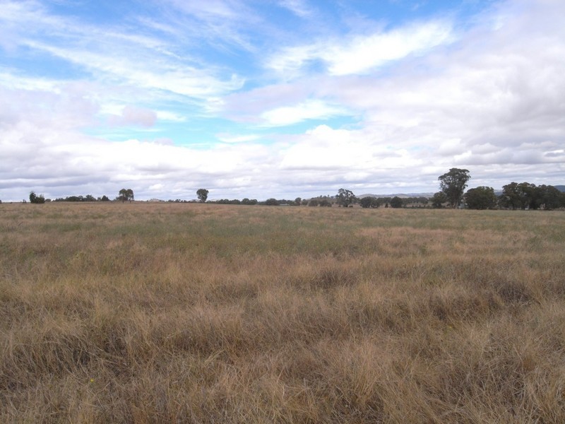 Gulgong NSW 2852