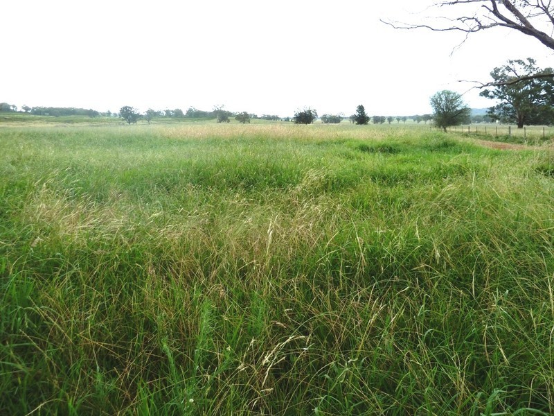 9 Gawthorne Place, Mudgee NSW 2850