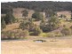 Bocoble NSW 2850