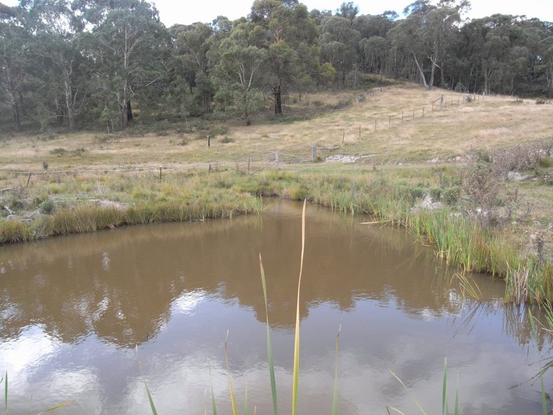 Bocoble NSW 2850
