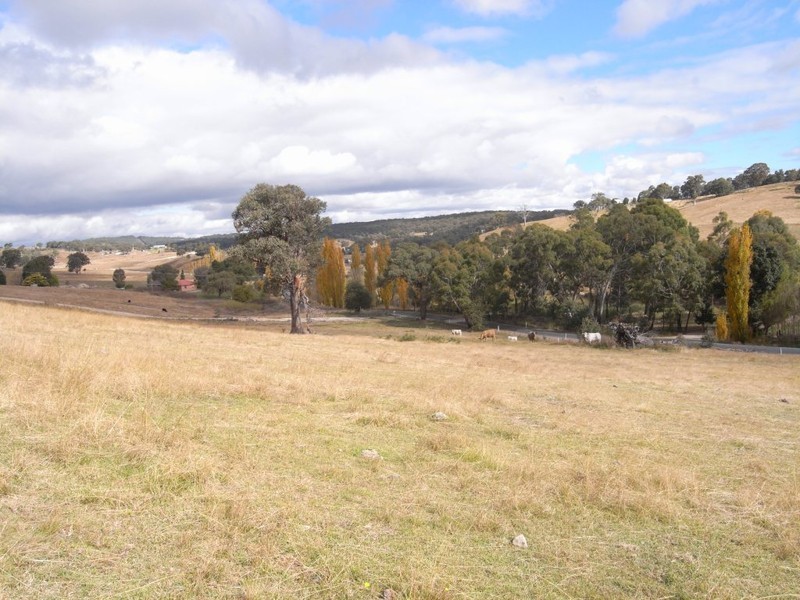 Bocoble NSW 2850