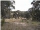 Bocoble NSW 2850