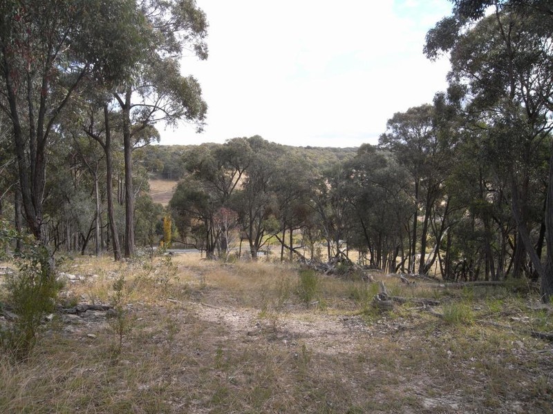 Bocoble NSW 2850