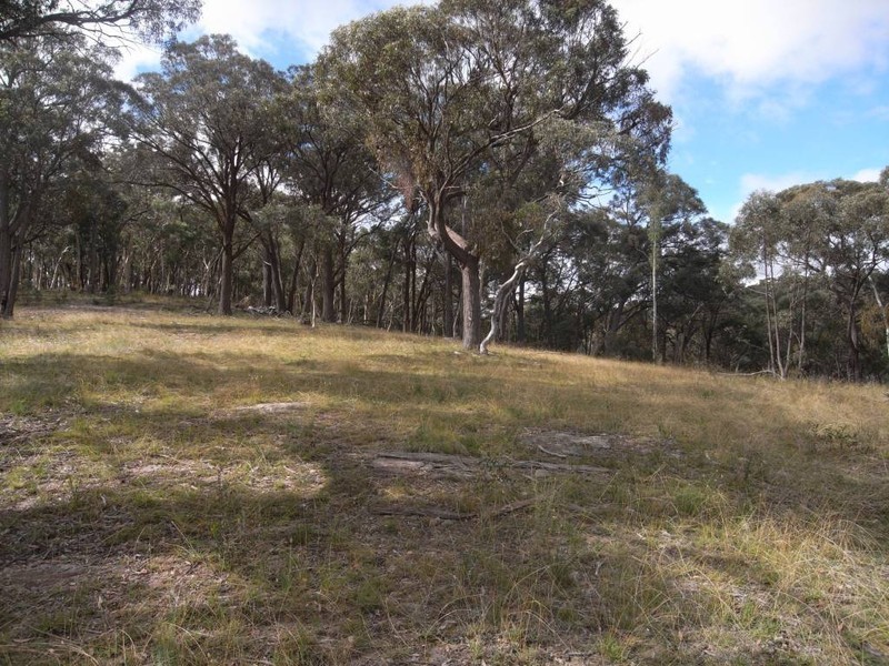 Bocoble NSW 2850