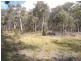 Bocoble NSW 2850
