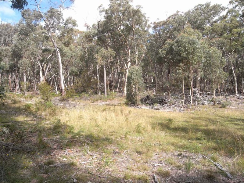 Bocoble NSW 2850