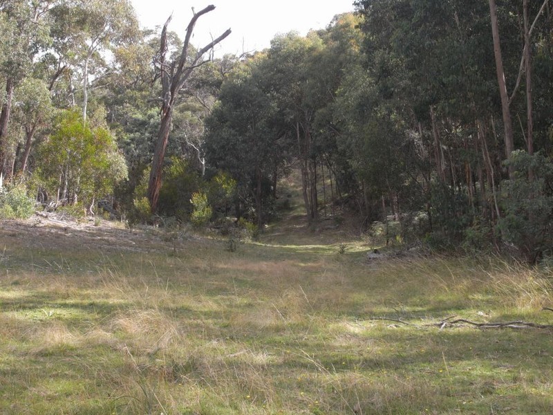 Bocoble NSW 2850