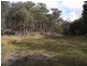 Bocoble NSW 2850