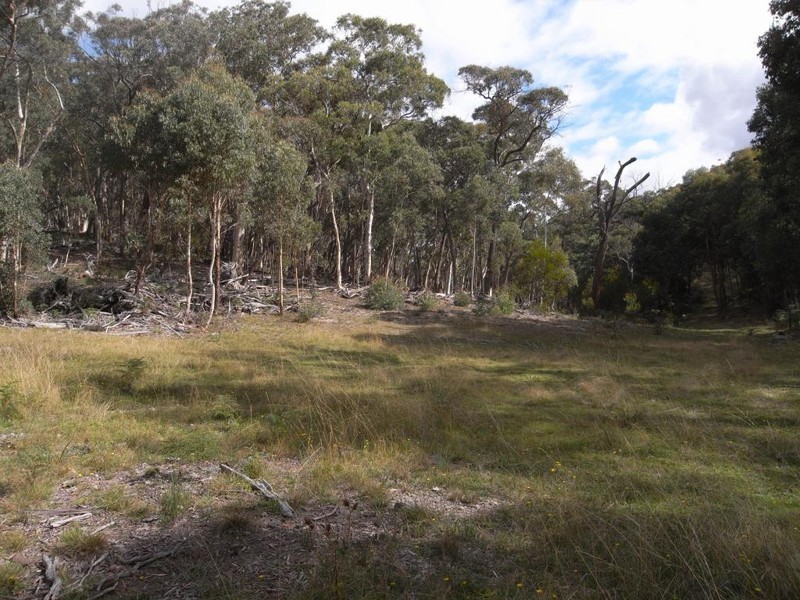 Bocoble NSW 2850