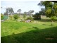2509A Ulan Road, Mudgee NSW 2850