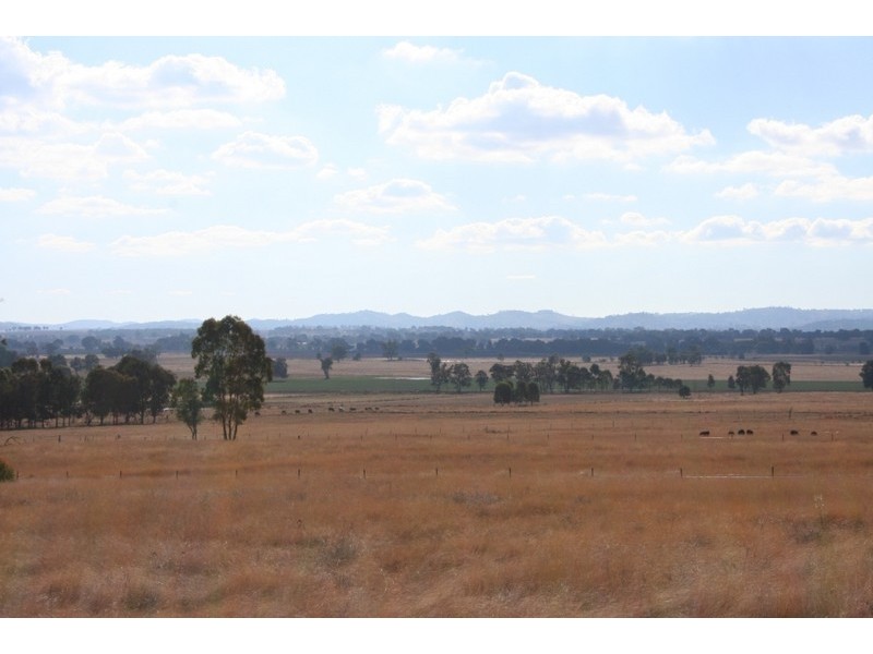 Mudgee NSW 2850
