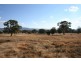 Mudgee NSW 2850