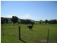 Mudgee NSW 2850